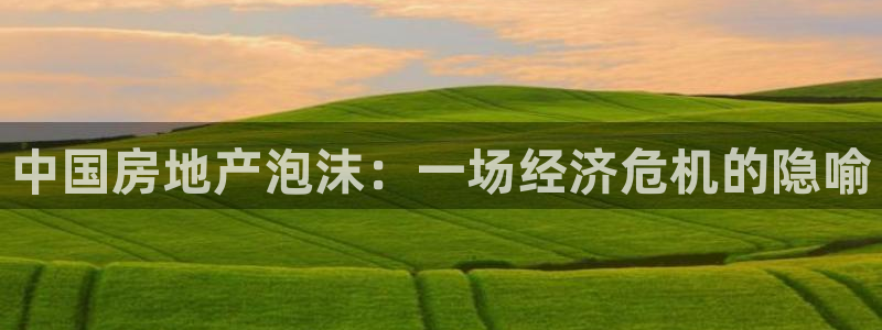 官网和记通讯：中国房地产泡沫：一场经济危机的隐喻