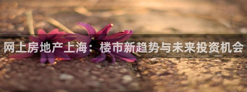 缅甸和记国际官网：网上房地产上海：楼市新趋势与未来投资机会