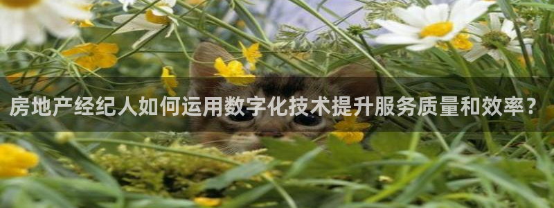 和记娱真好h88285官网：房地产经纪人如何运用数字化技术提