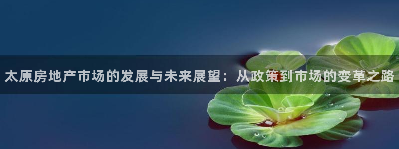 元和记官网：太原房地产市场的发展与未来展望：从政策到市场的变