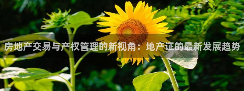 香港和记隆官网：房地产交易与产权管理的新视角：地产证的最新发
