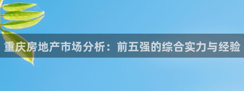 和记怡情博娱官网：重庆房地产市场分析：前五强的综合实力与经验