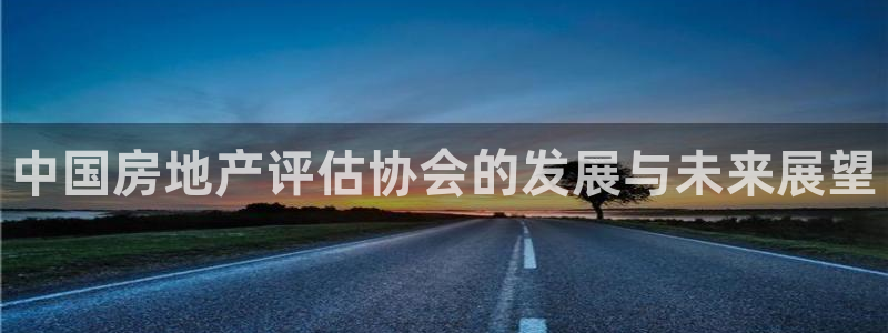 和记手机版官网：中国房地产评估协会的发展与未来展望