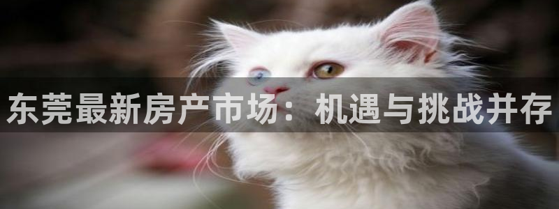 郑州和记酒业官网