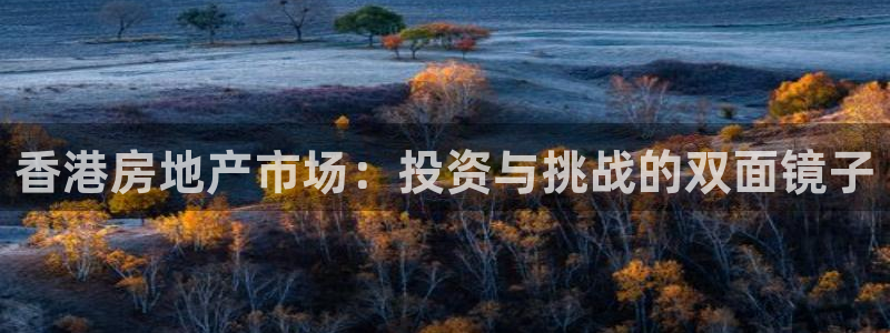 白云 和记黄埔官网：香港房地产市场：投资与挑战的双面镜子