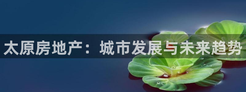 和记隆官网：太原房地产：城市发展与未来趋势