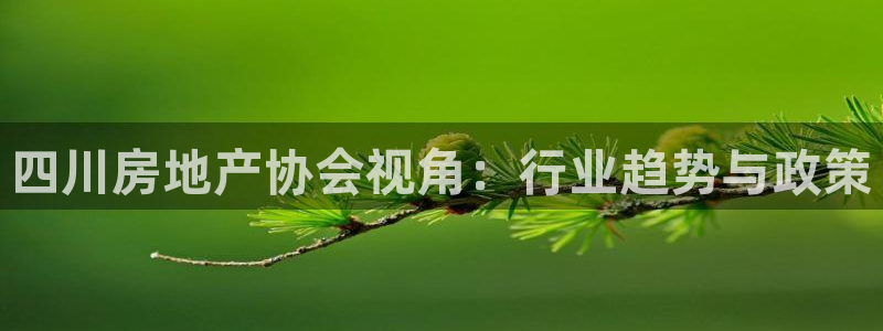 和记港口信托官网：四川房地产协会视角：行业趋势与政策