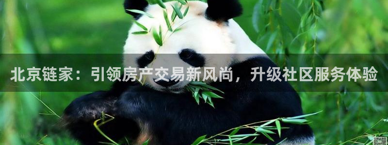 和记娱真心推荐h88285官网：北京链家：引领房产交易新风尚