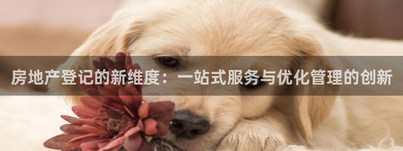 和记官网入口：房地产登记的新维度：一站式服务与优化管理的创新