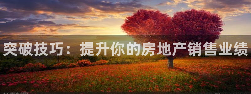 和记手游官网：突破技巧：提升你的房地产销售业绩