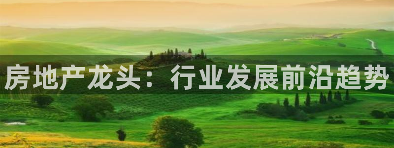 香港3和记官网：房地产龙头：行业发展前沿趋势