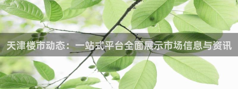 和记官网加盟：天津楼市动态：一站式平台全面展示市场信息与资讯