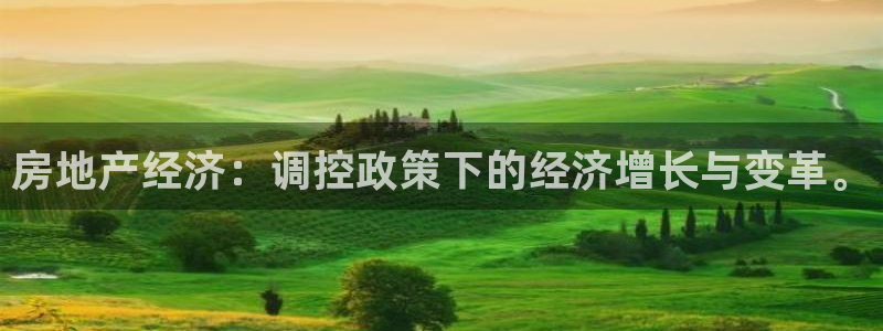 h88和记官网登录：房地产经济：调控政策下的经济增长与变革。