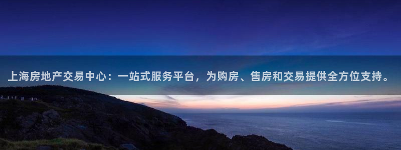 和记国际电讯官网：上海房地产交易中心：一站式服务平台，为购房