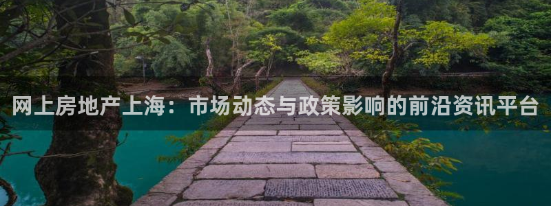 和记官网是一个什么平台：网上房地产上海：市场动态与政策影响的