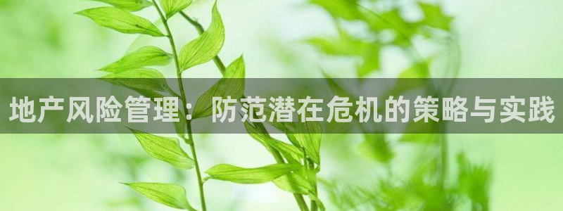 和记娱乐唯一官网：地产风险管理：防范潜在危机的策略与实践