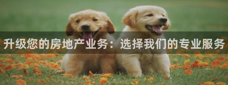 和记娱哪个位置h88285官网：升级您的房地产业务：选择我们