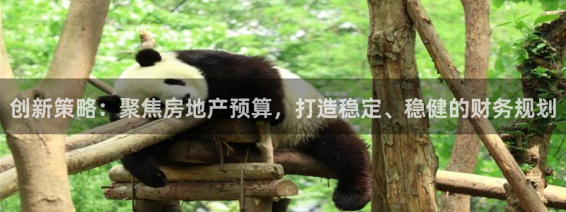广州和记黄埔官网：创新策略：聚焦房地产预算，打造稳定、稳健的