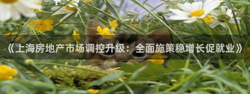 和记官网手机版：《上海房地产市场调控升级：全面施策稳增长促就