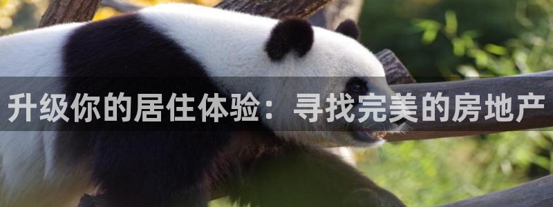 澳门3和记官网：升级你的居住体验：寻找完美的房地产