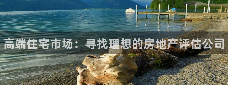 和记中国官网：高端住宅市场：寻找理想的房地产评估公司
