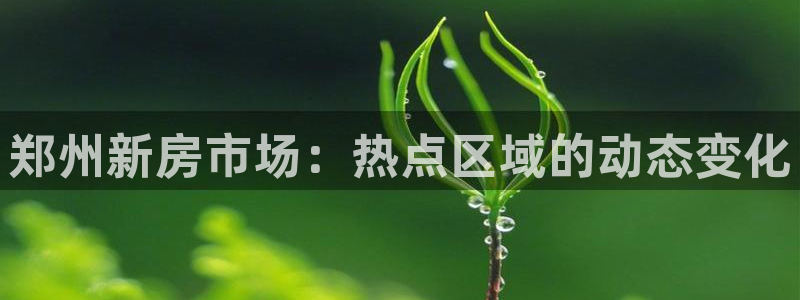 长江和记有限公司官网：郑州新房市场：热点区域的动态变化
