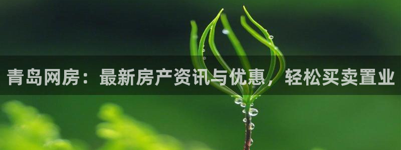 和记3官网：青岛网房：最新房产资讯与优惠，轻松买卖置业