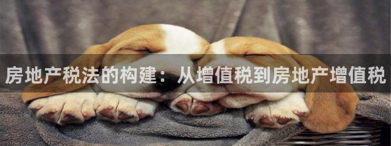和记网开户官网：房地产税法的构建：从增值税到房地产增值税