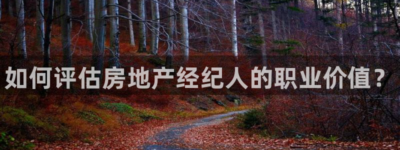 和记娱技精h88285官网：如何评估房地产经纪人的职业价值？
