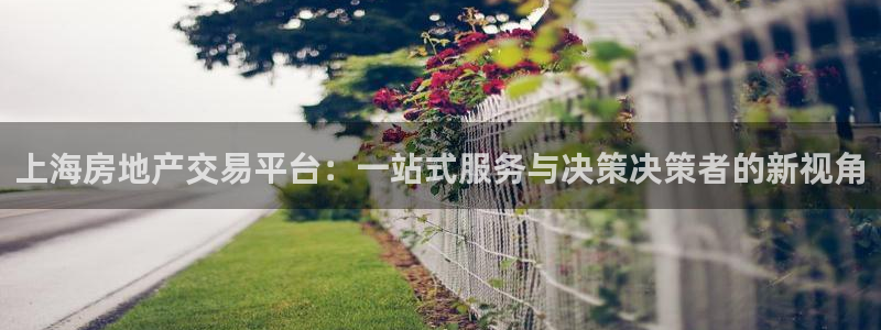 官网和记通讯：上海房地产交易平台：一站式服务与决策决策者的新