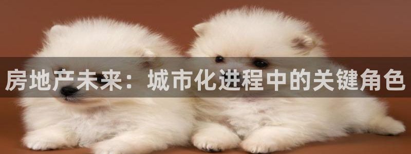 和记万佳国际家居城官网：房地产未来：城市化进程中的关键角色