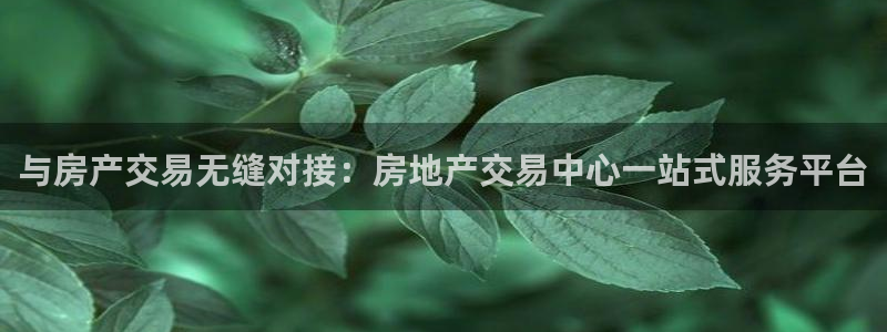 香港和记电讯官网：与房产交易无缝对接：房地产交易中心一站式服