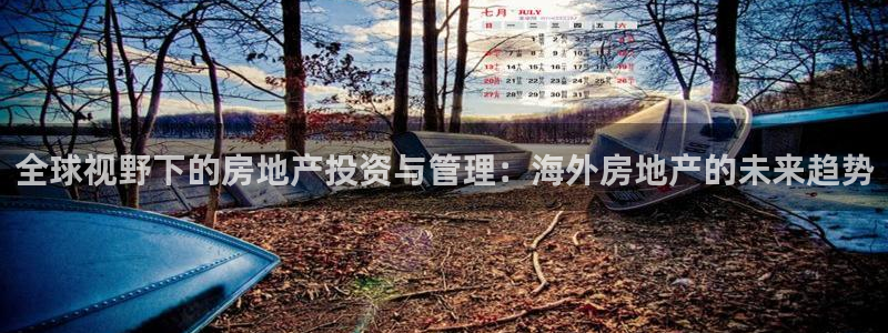 和记h88官网登陆：全球视野下的房地产投资与管理：海外房地产