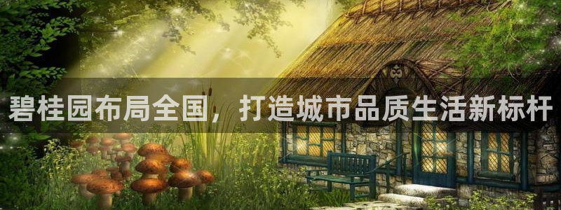 澳门和记 官网：碧桂园布局全国，打造城市品质生活新标杆