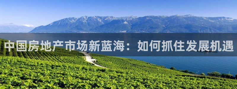 和记188官网：中国房地产市场新蓝海：如何抓住发展机遇
