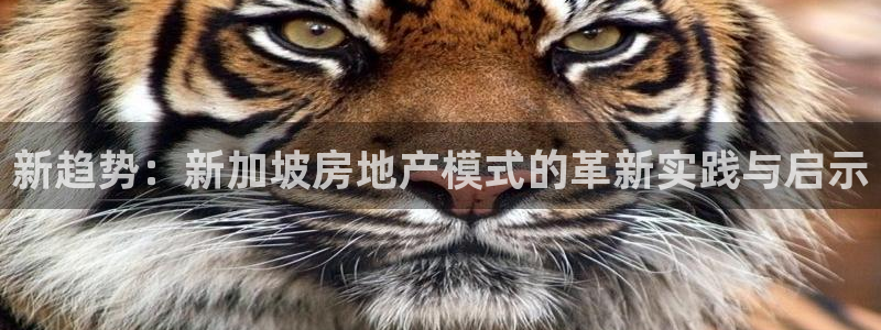 和记隆官网：新趋势：新加坡房地产模式的革新实践与启示