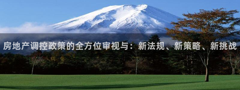广州和德记官网：房地产调控政策的全方位审视与：新法规、新策略