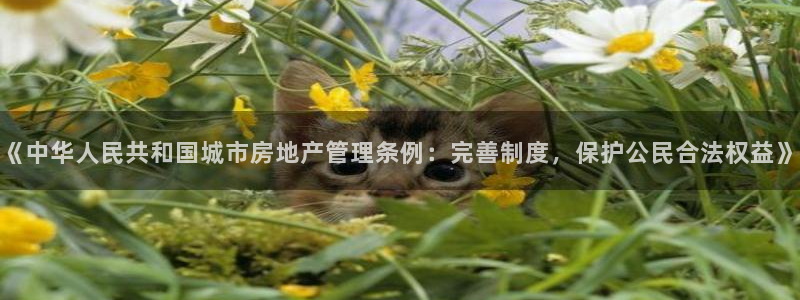 和记平台官网：《中华人民共和国城市房地产管理条例：完善制度，