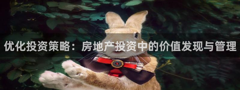 和记黄埔官网教育：优化投资策略：房地产投资中的价值发现与管理