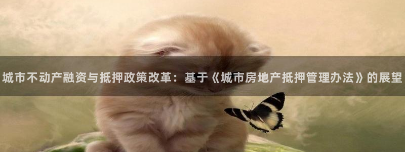 和记隆官网：城市不动产融资与抵押政策改革：基于《城市房地产抵