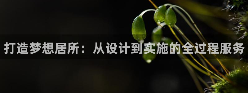 3和记电讯官网：打造梦想居所：从设计到实施的全过程服务