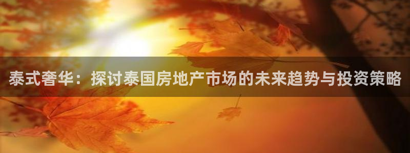 和记官网 (中国区)官方网站：泰式奢华：探讨泰国房地产市场的