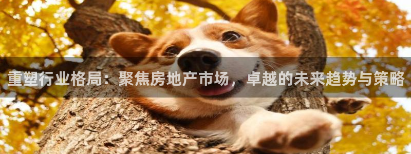 和记官网备用客户端：重塑行业格局：聚焦房地产市场，卓越的未来