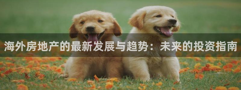 和记登录官网：海外房地产的最新发展与趋势：未来的投资指南