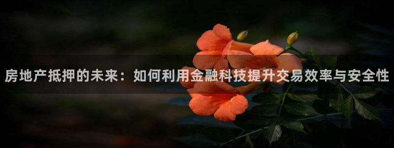 和记娱乐网官网：房地产抵押的未来：如何利用金融科技提升交易效