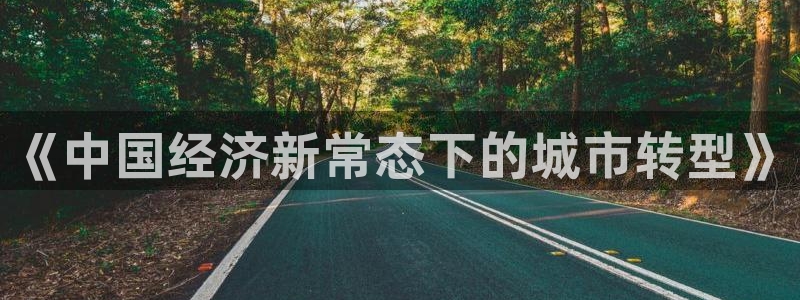 和帆记加盟官网：《中国经济新常态下的城市转型》