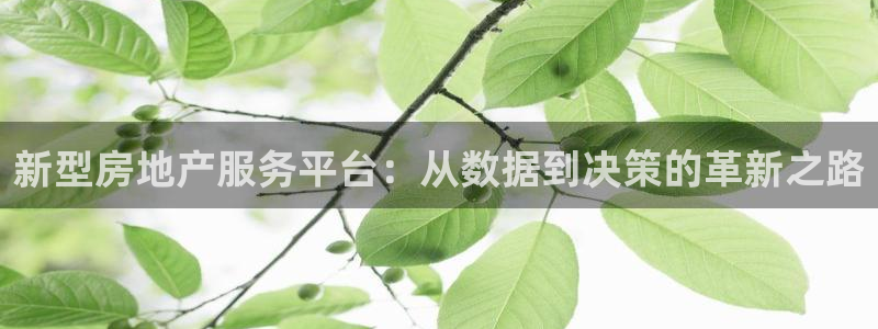和记官网地址：新型房地产服务平台：从数据到决策的革新之路