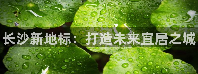 和记集团官网：长沙新地标：打造未来宜居之城