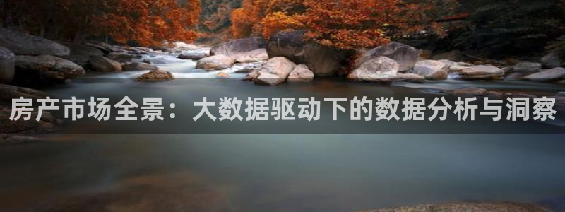 和记娱乐捕鱼官网：房产市场全景：大数据驱动下的数据分析与洞察