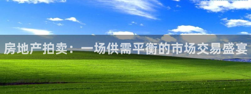 和记怡情赌博官网：房地产拍卖：一场供需平衡的市场交易盛宴